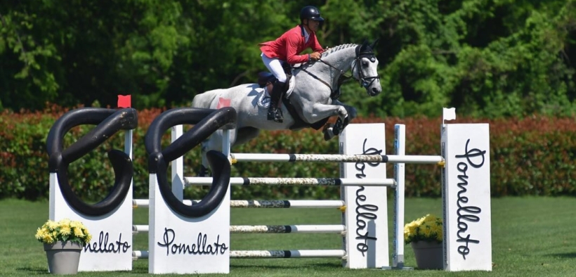 A Pius Schwizer il GP di Gorla Minore, Grassi e Mattioli in Top 10 (CSI2*)