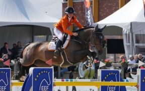 Dieci anni di successi nel GP: l'evoluzione dei vincitori 2