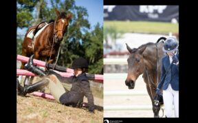 Diritto equestre: la caduta da cavallo durante la lezione