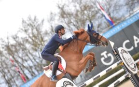 Emilio Bicocchi in Piazza d’Onore della 145 LR allo CSIO5* di La Baule