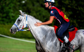 Il Campionato Europeo di Endurance FEI 2025 si terrà in Italia