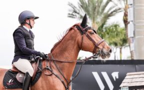 La FEI ha avviato un gruppo di lavoro sui gilet airbag