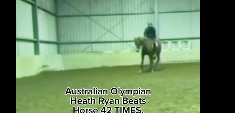 La FEI sospende il completista Heath Ryan per maltrattamento di cavalli