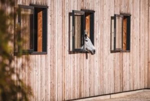 Liguria Jumping inaugura strutture di alta gamma per cavalli accanto a Monaco 4