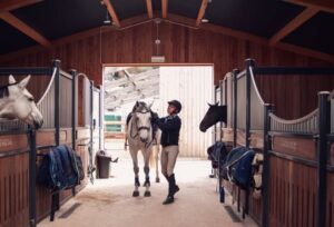 Liguria Jumping inaugura strutture di alta gamma per cavalli accanto a Monaco 5