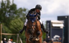 Neri Pieraccini nuovamente sul podio della 145 LR di Wuustwezel (CSI2*)