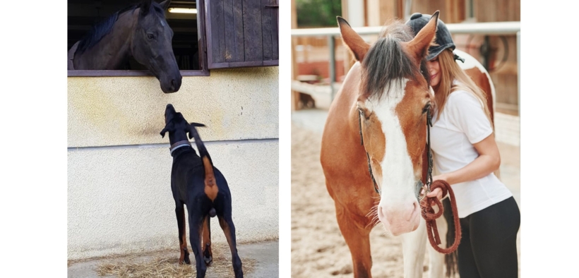 Ops! problema: taluni trasformano in expertise (a pagamento) vuoti, disagi psicologici propri