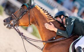 Scomparsa prematuramente Miss Blue Saint Blue Farm