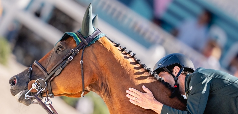 Scomparsa prematuramente Miss Blue Saint Blue Farm