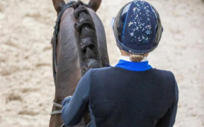 Dressage: i cavalli di Blue Hors tornano a gareggiare