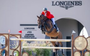 Europeo, facciamo il punto precedente la sfida per le medaglie a squadre