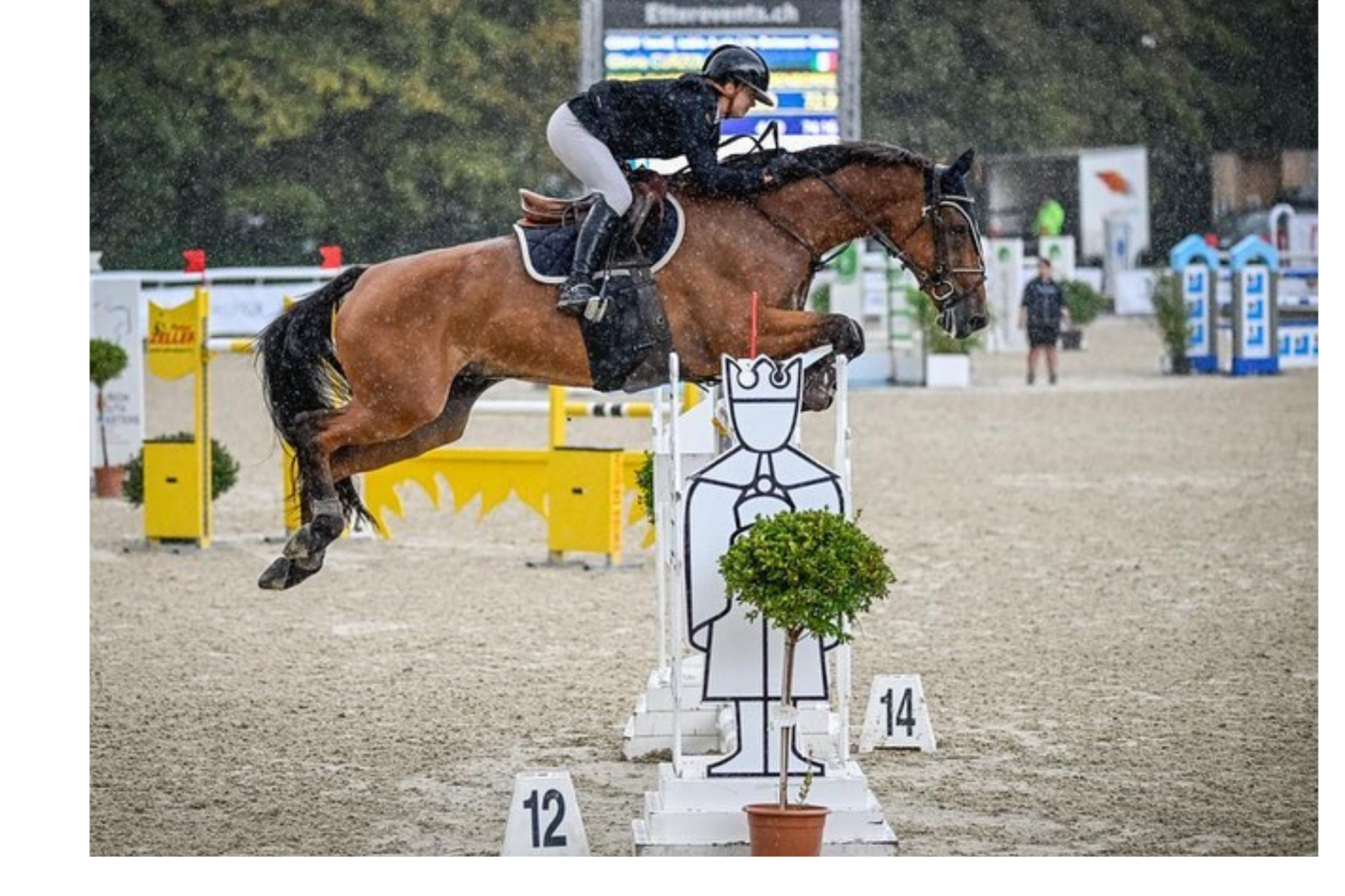 Gloria Curzola si aggiudica la 145 di Opglabbeek (CSI2*)