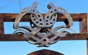 Gran Premi Naz. A5*: ecco i podi 107