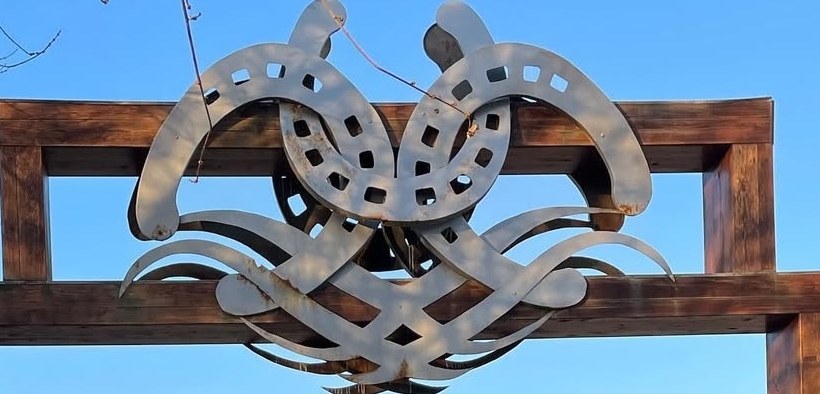 Gran Premi Naz. A5*: ecco i podi 107