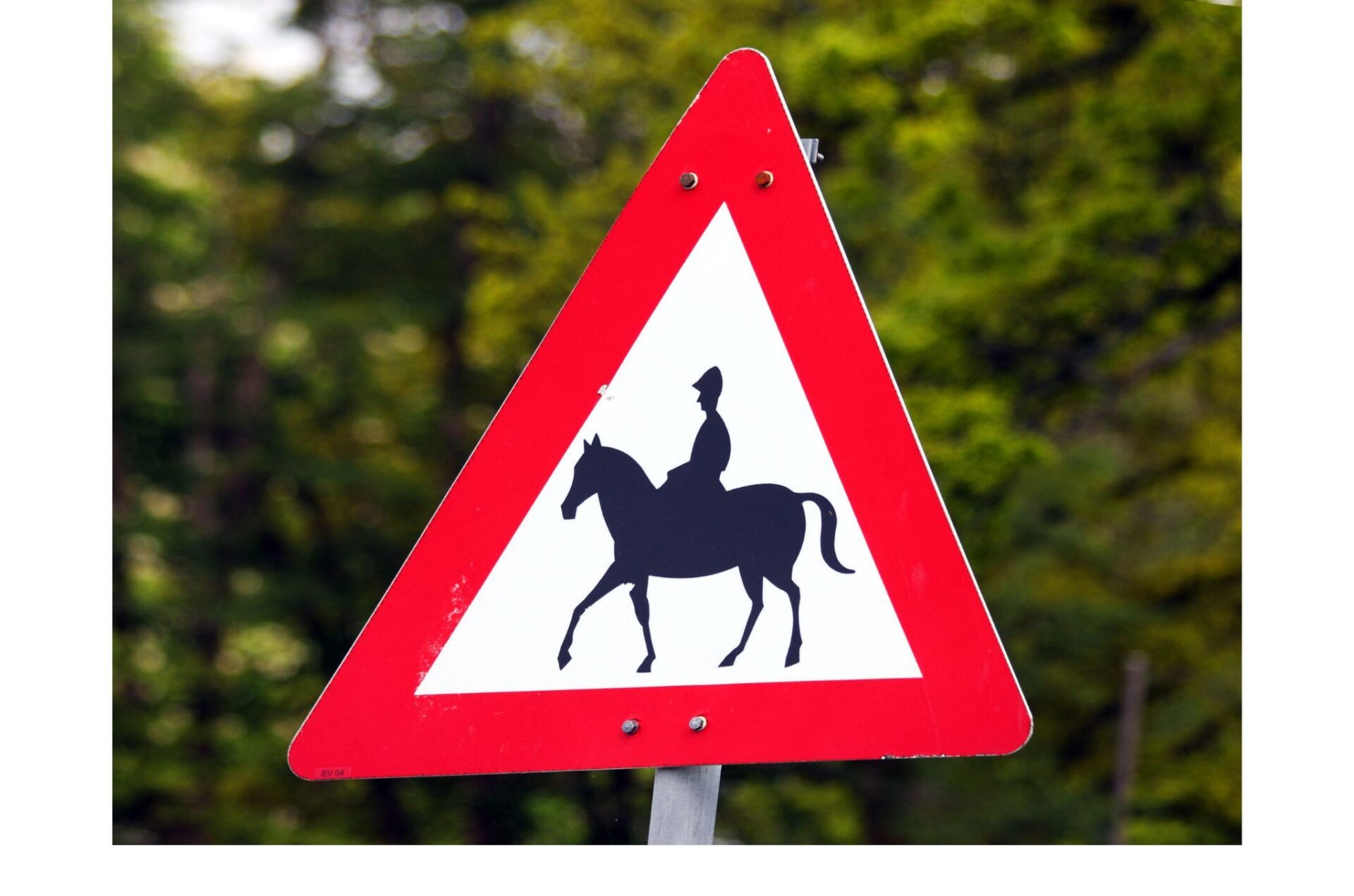 La circolazione a cavallo su tratti stradali: regole e ratio