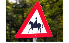 La circolazione a cavallo su tratti stradali: regole e ratio