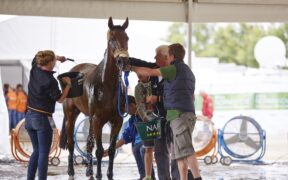 La FEI lancia la campagna Beat the Heat