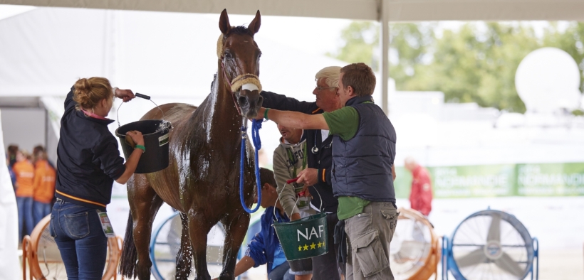 La FEI lancia la campagna Beat the Heat