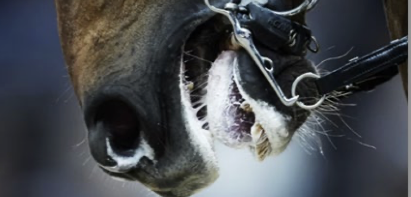 La FEI vieta prodotti che imitano, inducono o causano la formazione di schiuma 1