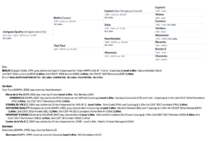 Performance vs. Black Type: qual'è la differenza? 1