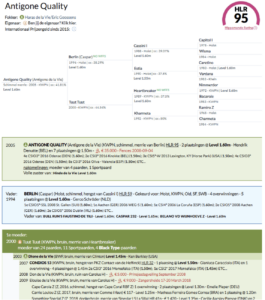 Performance vs. Black Type: qual'è la differenza?