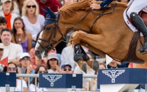 Performance vs. Black Type: qual'è la differenza? 2