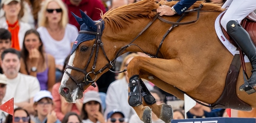 Performance vs. Black Type: qual'è la differenza? 2