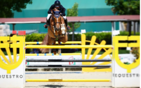 Piazza d’Onore per Davide Kainich nel GP di Wiener Neustadt (CSI2*)