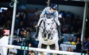 Vincite in carriera dei cavalieri nel salto: chi ha guadagnato le somme maggiori? 1