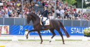A Verden proclamati i Campioni FEI WBFSH Dressage World Breeding