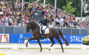 A Verden proclamati i Campioni FEI WBFSH Dressage World Breeding