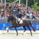 A Verden proclamati i Campioni FEI WBFSH Dressage World Breeding