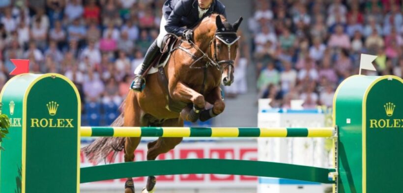 Balzaci (Horse Gym's Balzaci)