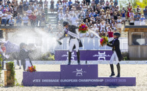 Europeo Dressage: Justin Verboomen è medaglia d'oro individuale