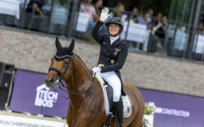 Europeo Dressage: Katharina Hemmer al comando dopo il Grand Prix a Crozet