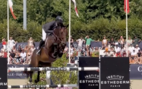 Grand Prix Internazionali: ecco i podi (# week 33)