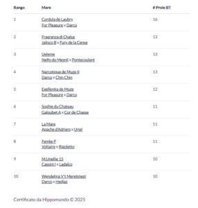 Le linee di sangue che dominano il salto ostacoli