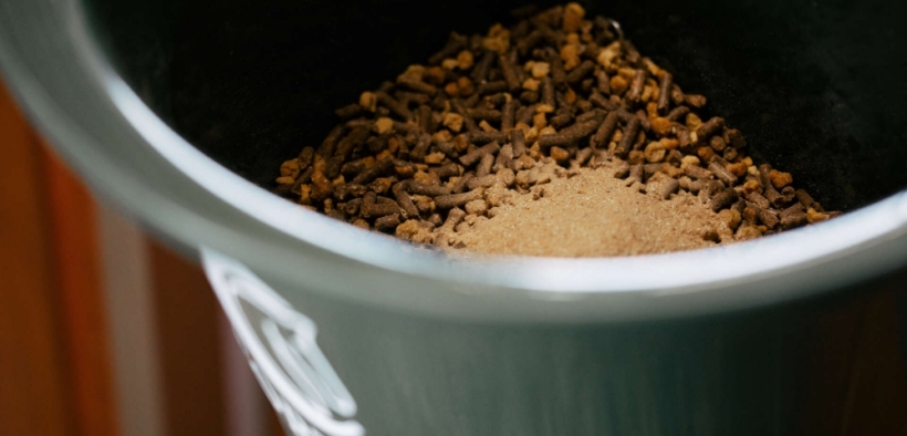 L’importanza degli antiossidanti per il cavallo: i consigli di Cortal Horse 1