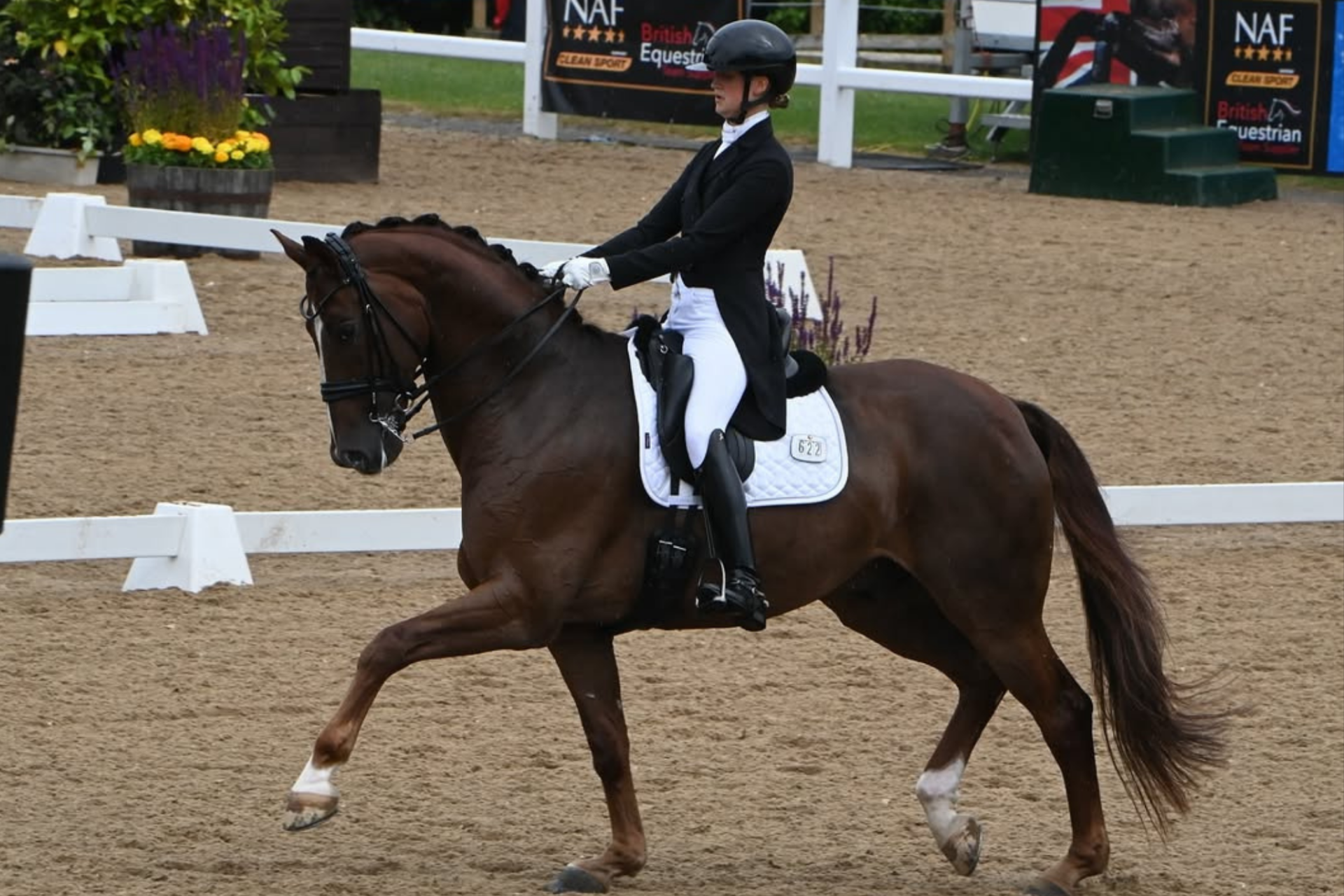 Nathalie Wahlund rappresenterà l’Italia agli Europei di Dressage 2025