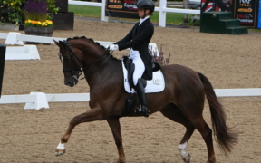 Nathalie Wahlund rappresenterà l’Italia agli Europei di Dressage 2025