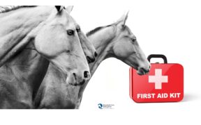 Primo Soccorso per cavalli: quel che deve sapere ogni proprietario 1