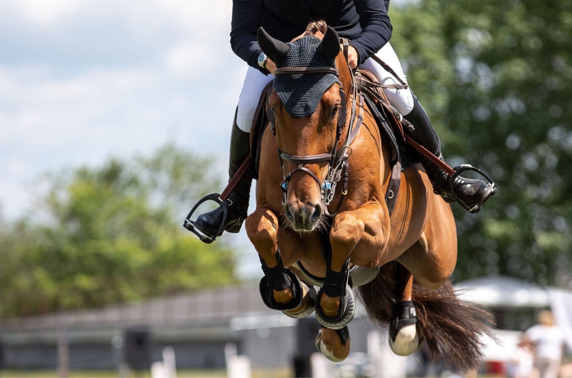 Revisione FEI del regolamento sul salto: blood rule, eliminazioni, Wild Card e Montepremi sotto esame