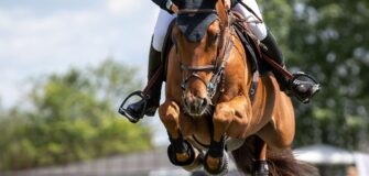 Revisione FEI del regolamento sul salto: blood rule, eliminazioni, Wild Card e Montepremi sotto esame