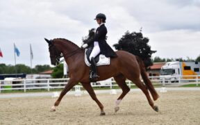Assoluto dressage, oro per la Wahlund.