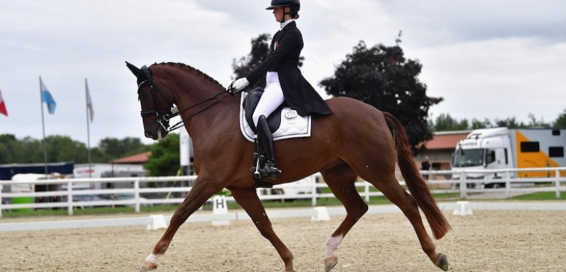 Assoluto dressage, oro per la Wahlund.