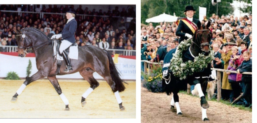 Addio allo stallone Lord Sinclair, che ci lascia a 31 anni