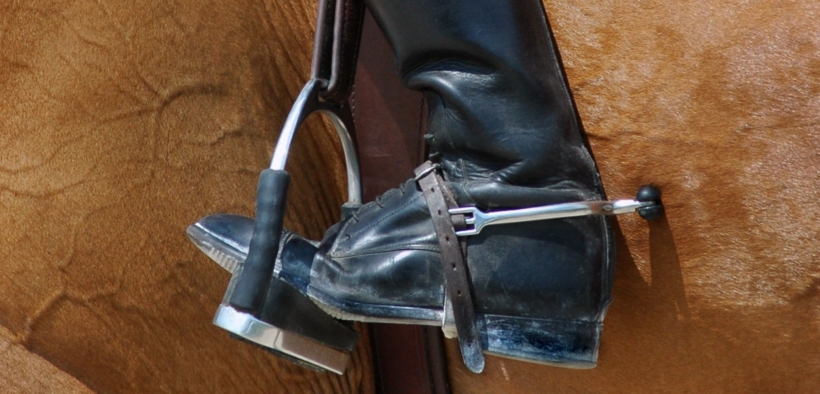 Blood Rule, la USEF introduce la verifica mediante "pulizia e risciacquo"