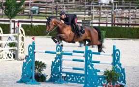 Buon inizio di Gaudiano al CSI4* di Ascona: sua la Piazza d'Onore nella 150