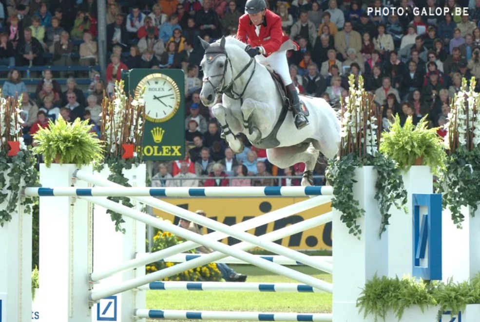 Cumano (Cavalor Cumano, Cumano BD)