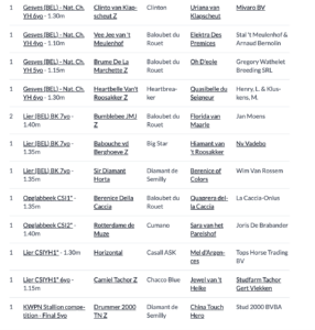 Dal laboratorio al podio: i cavalli nati con l'ICSI sono in ascesa 1
